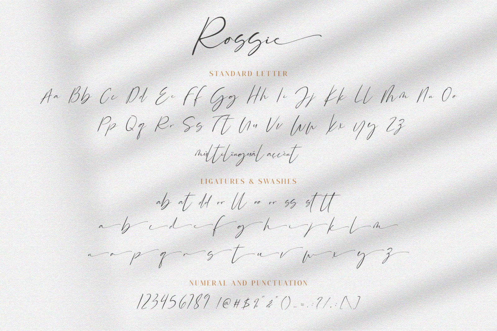 Rossie // Modern Script Font