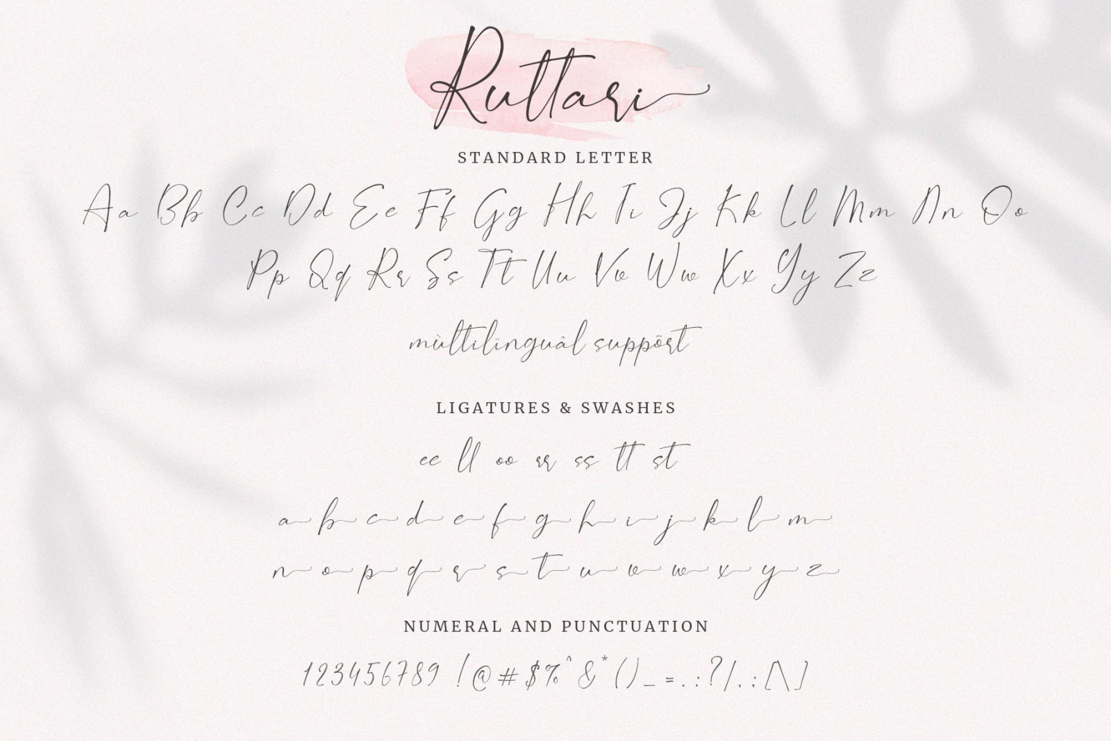 Ruttari // Chic Handwritten Font