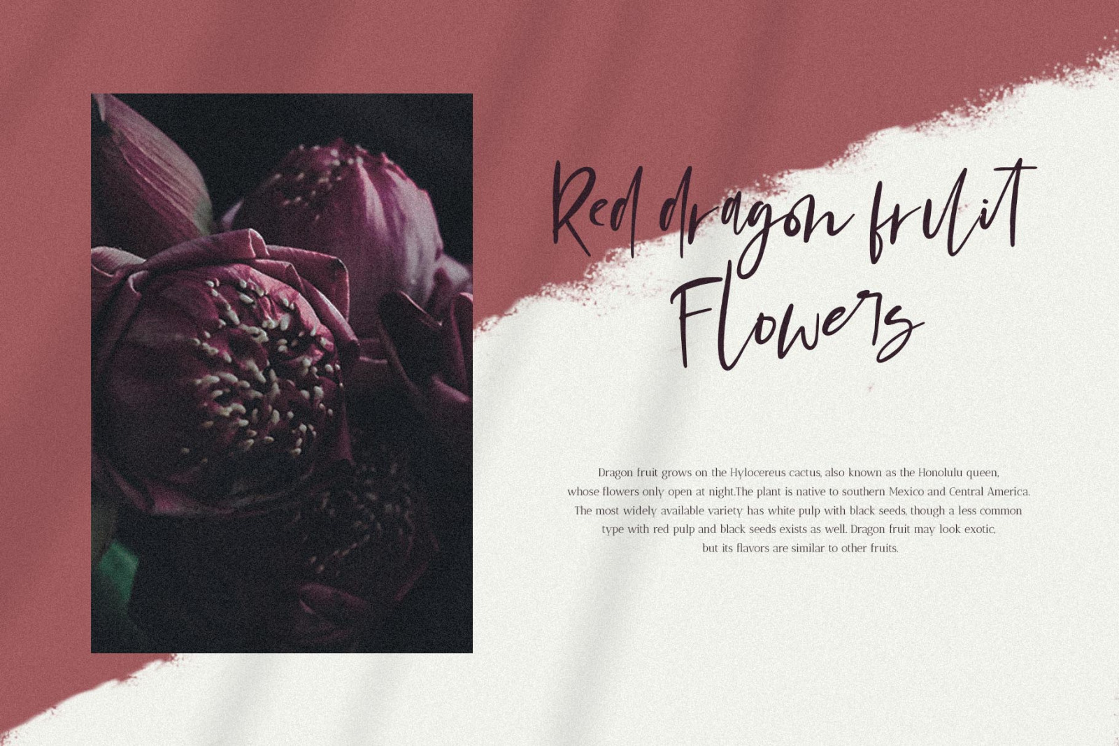 Mondela || Casual Handwritten Font Mondela || Casual Handwritten Font