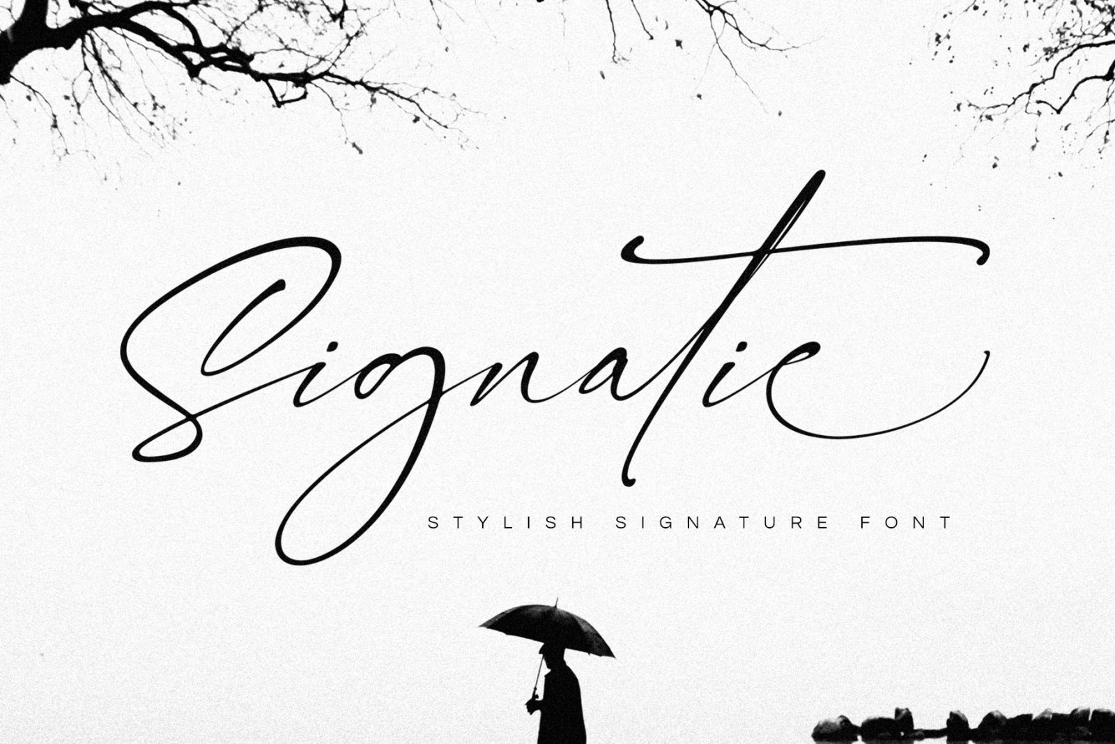 Signatie | Stylish Signature Font Signatie | Stylish Signature Font