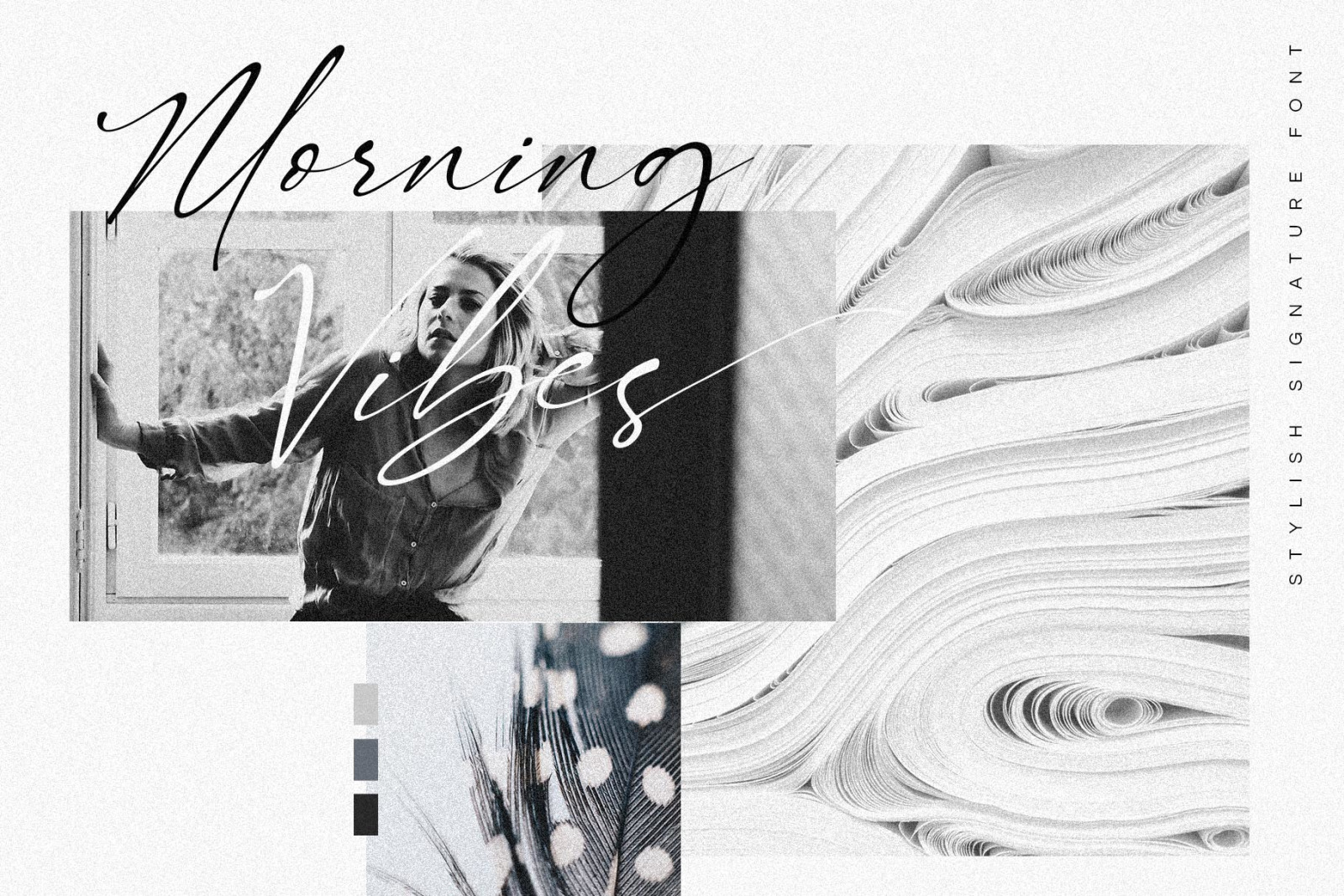 Signatie | Stylish Signature Font Signatie | Stylish Signature Font