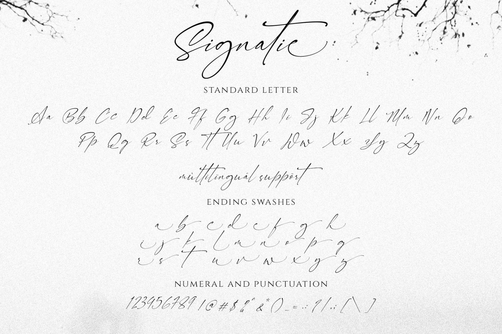 Signatie | Stylish Signature Font