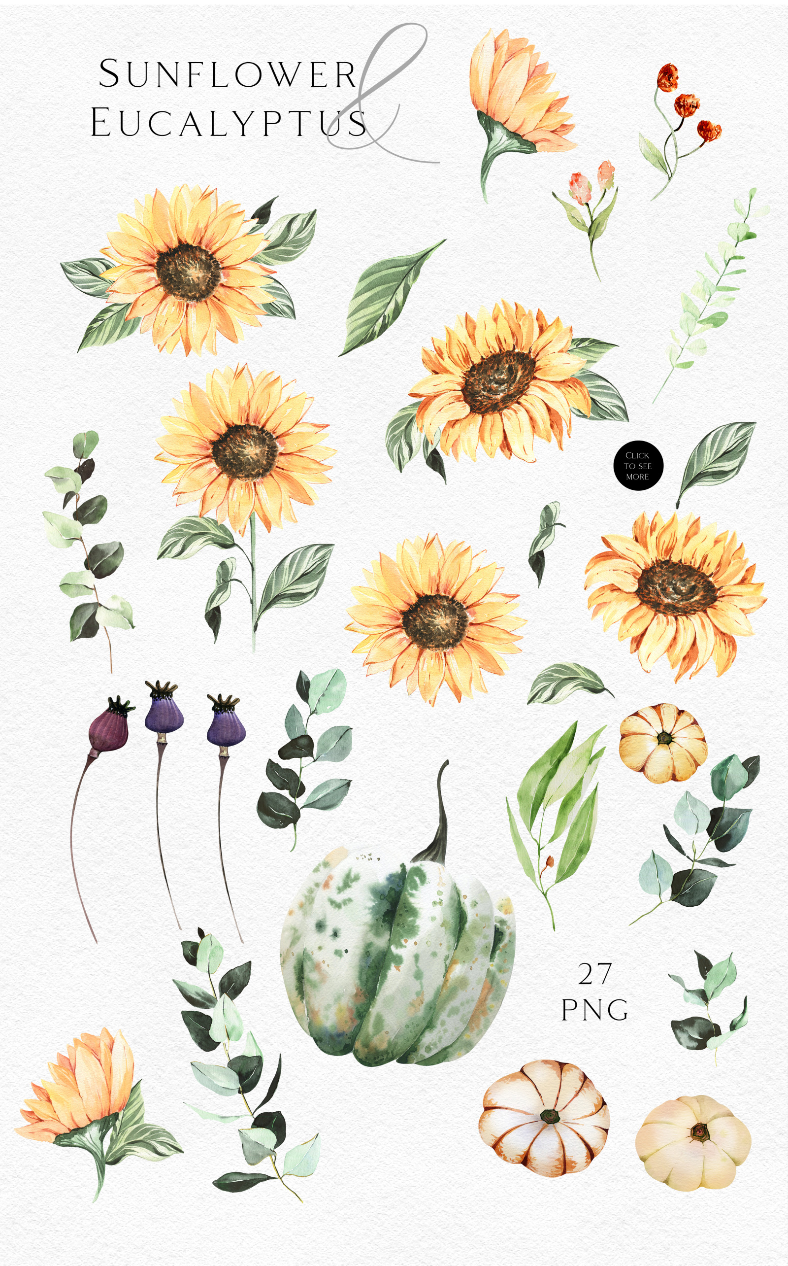 Watercolor sunflower clipart Pumpkin png fall clipart Eucalyptus clipart with sunflower floral png