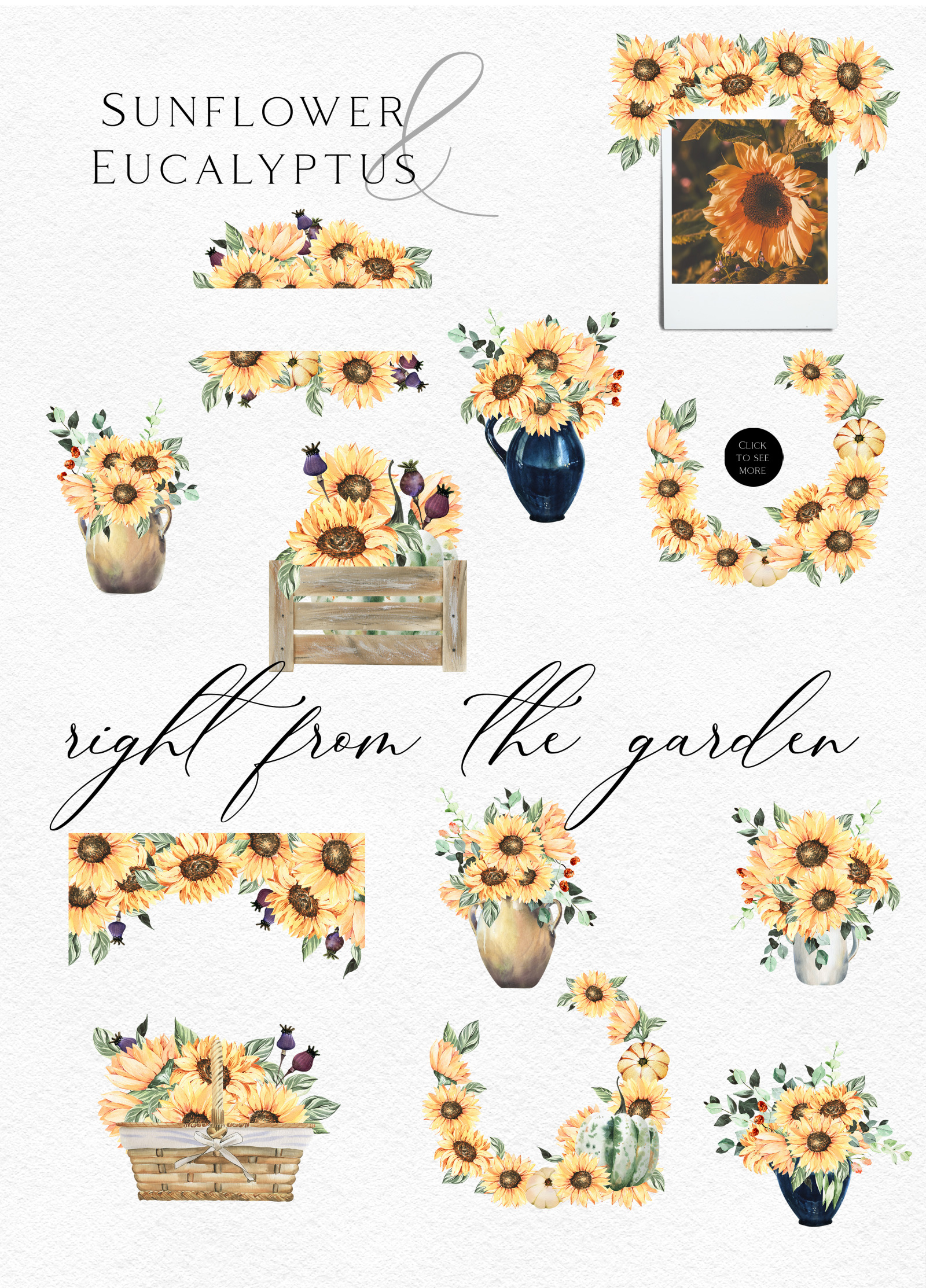 Watercolor sunflower clipart Pumpkin png fall clipart Eucalyptus clipart with sunflower floral png