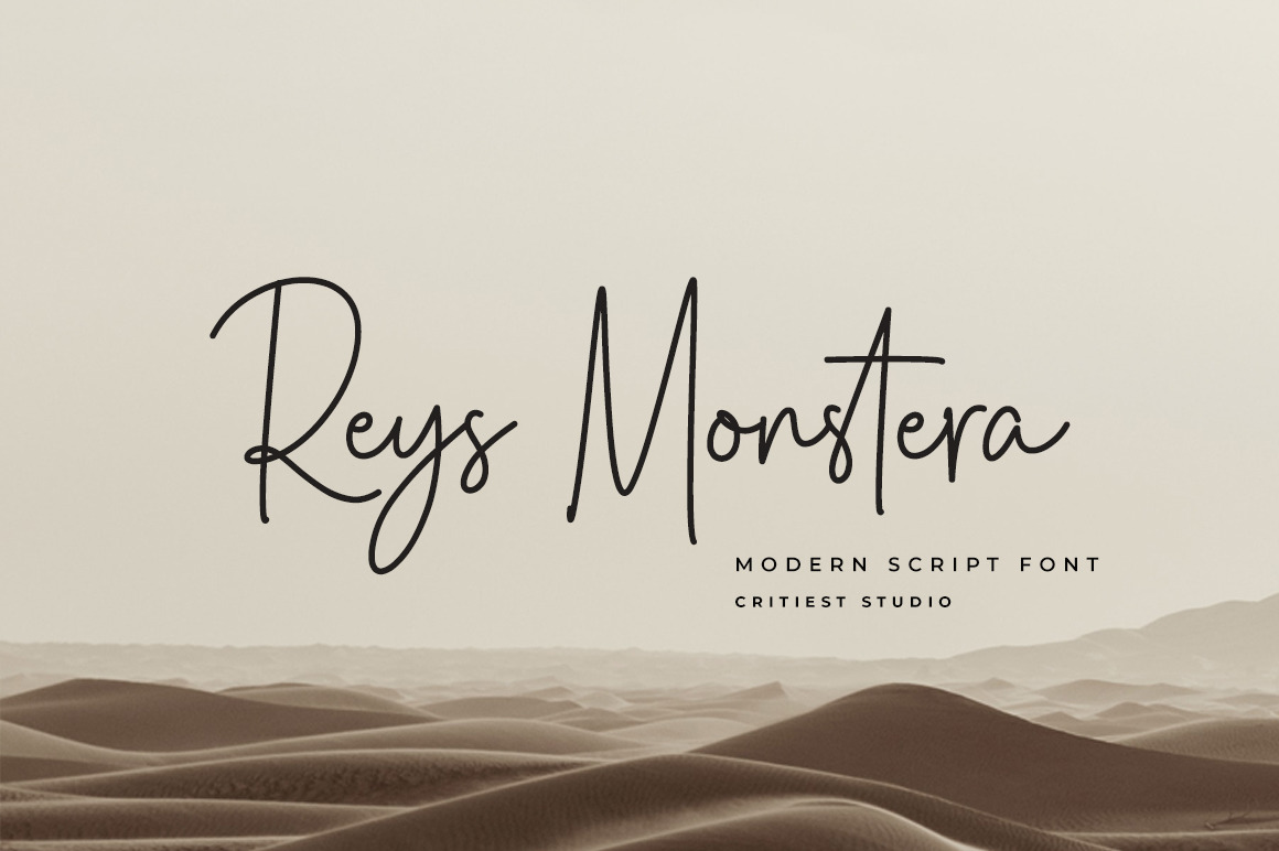 Reys Monstera - Modern Signature