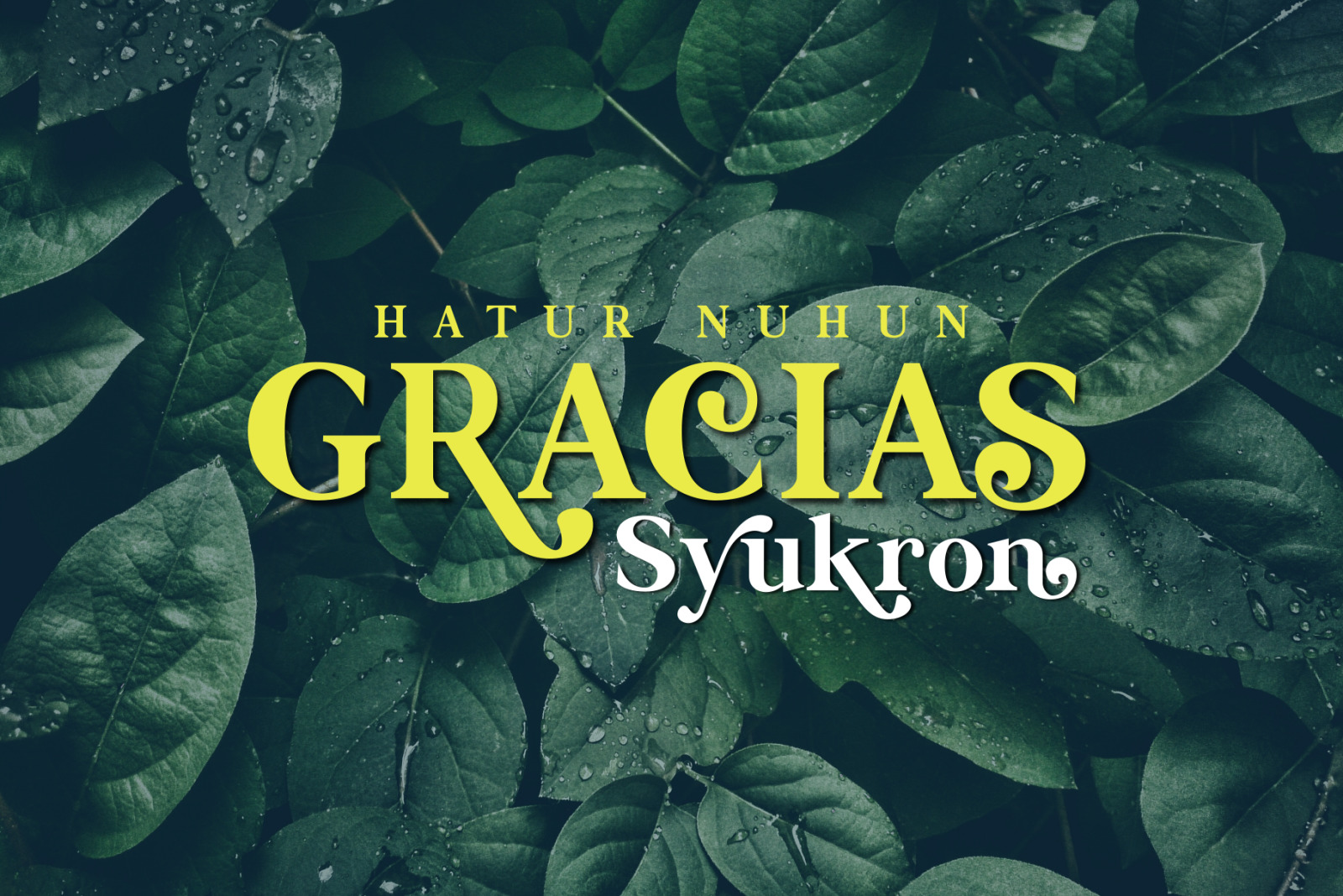 Magical Source - Stylish serif font Magical Source - Stylish serif font