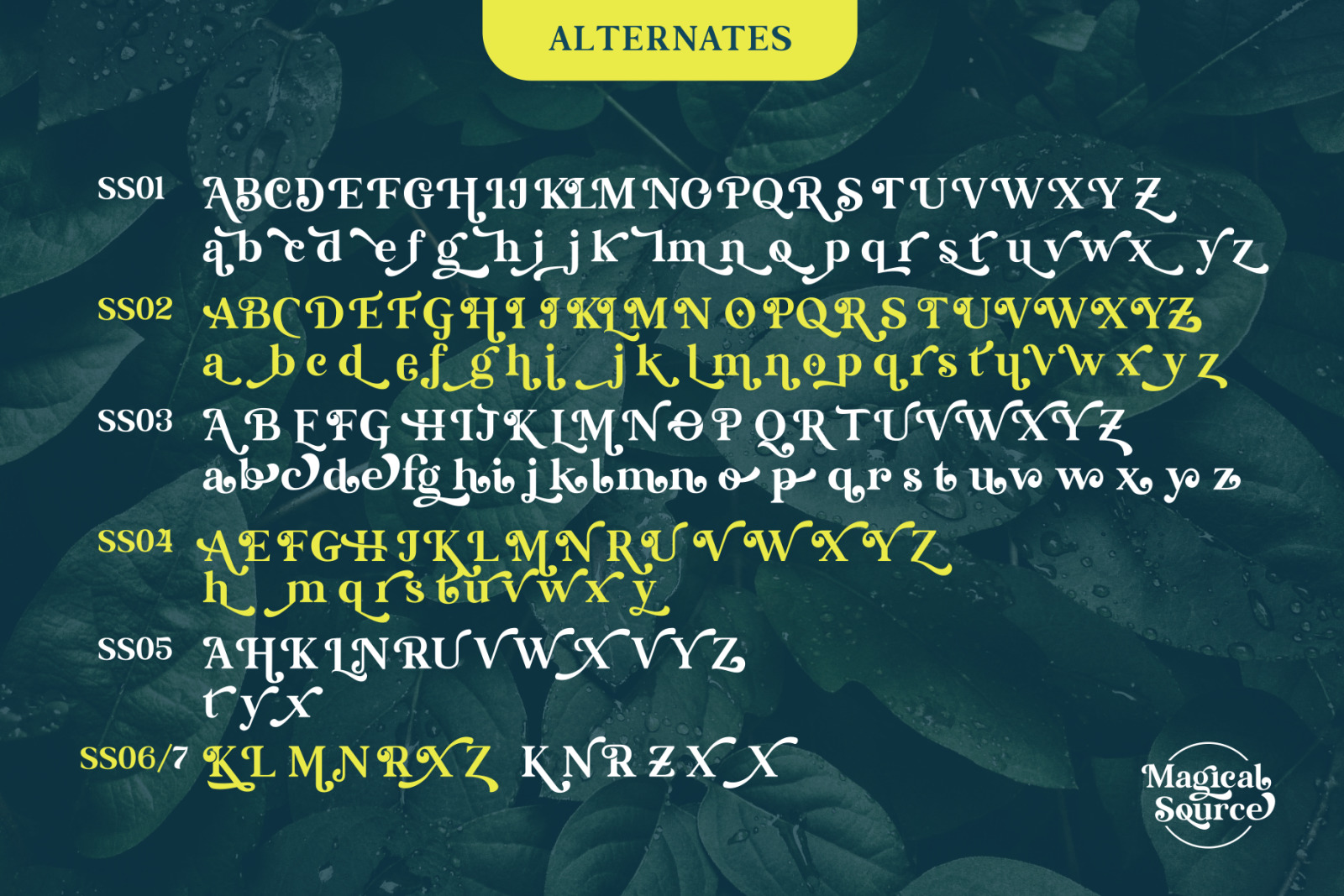 Magical Source - Stylish serif font Magical Source - Stylish serif font