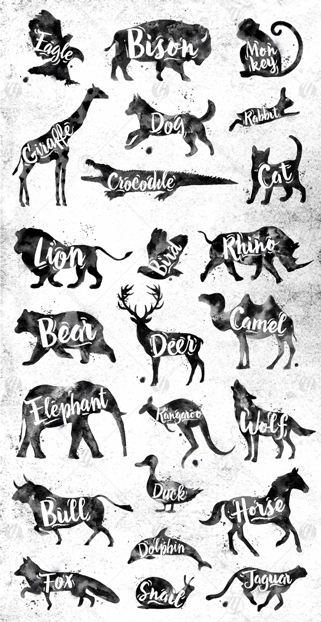Watercolor Animals Watercolor Animals