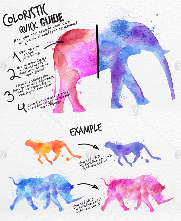 Watercolor Animals Watercolor Animals