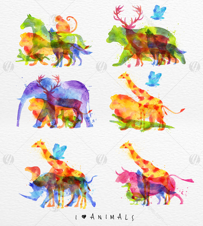 Watercolor Animals Watercolor Animals