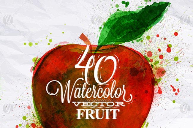 Fruits Watercolor Fruits Watercolor