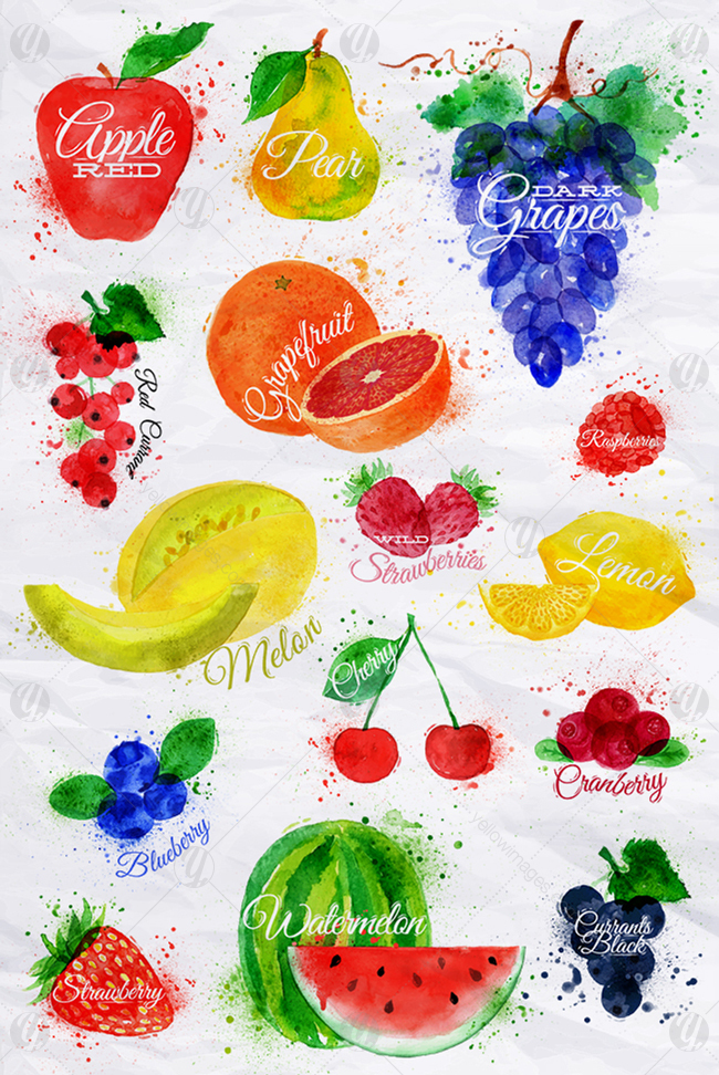 Fruits Watercolor Fruits Watercolor