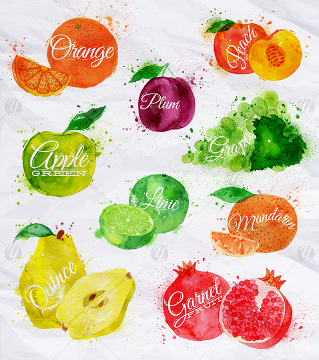 Fruits Watercolor Fruits Watercolor