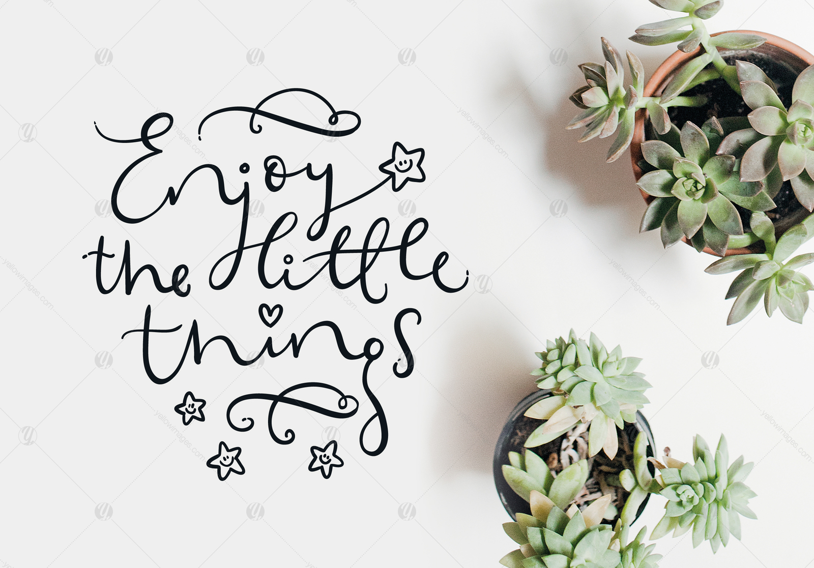 Enjoy the little things Vector Quote