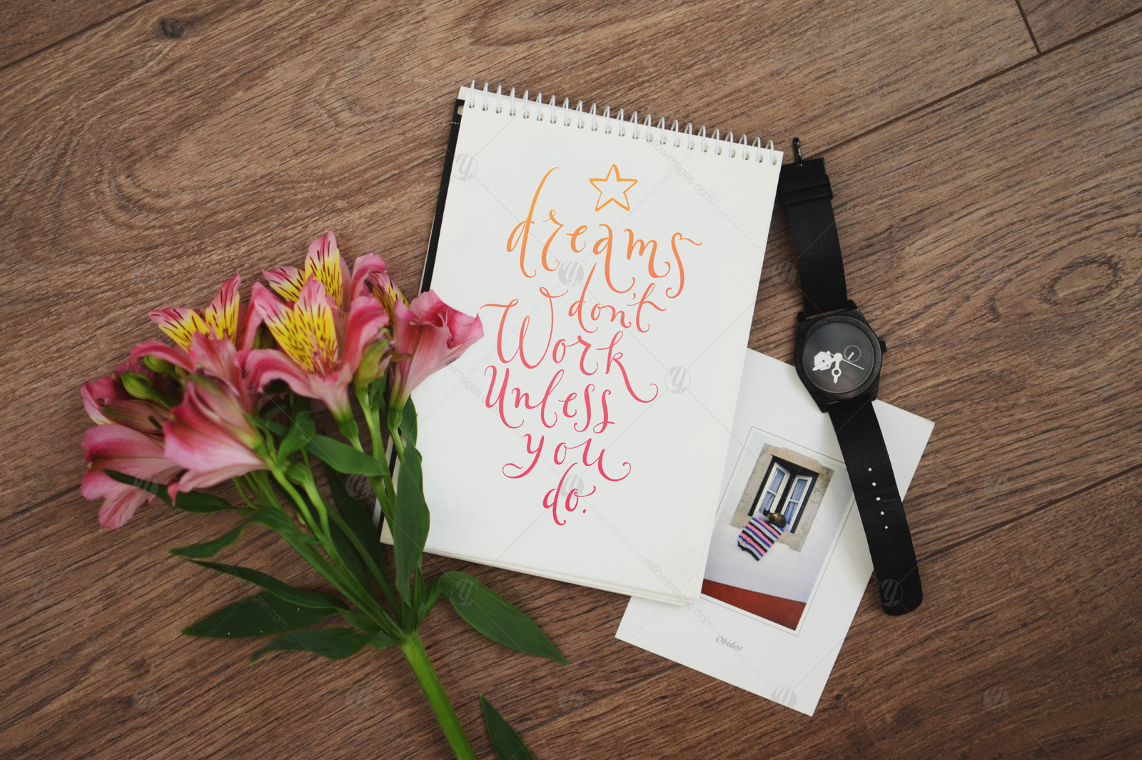 Vector Calligraphy Collection Vector Calligraphy Collection