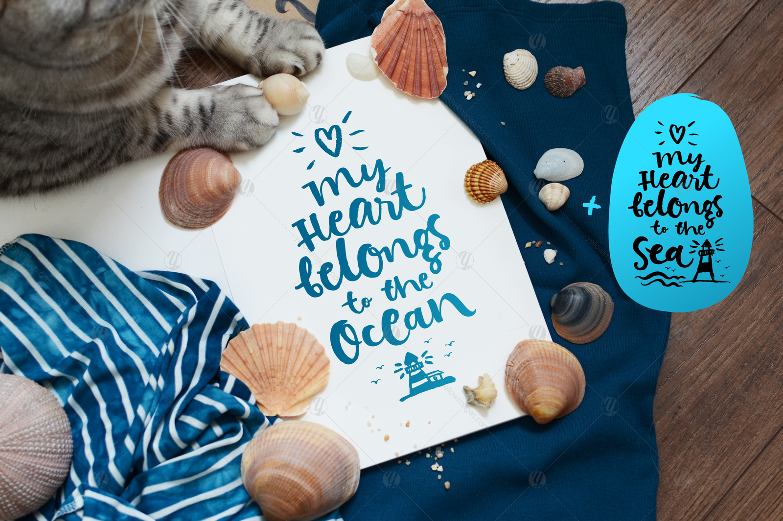 Vector SEA and OCEAN brushpen set Vector SEA and OCEAN brushpen set