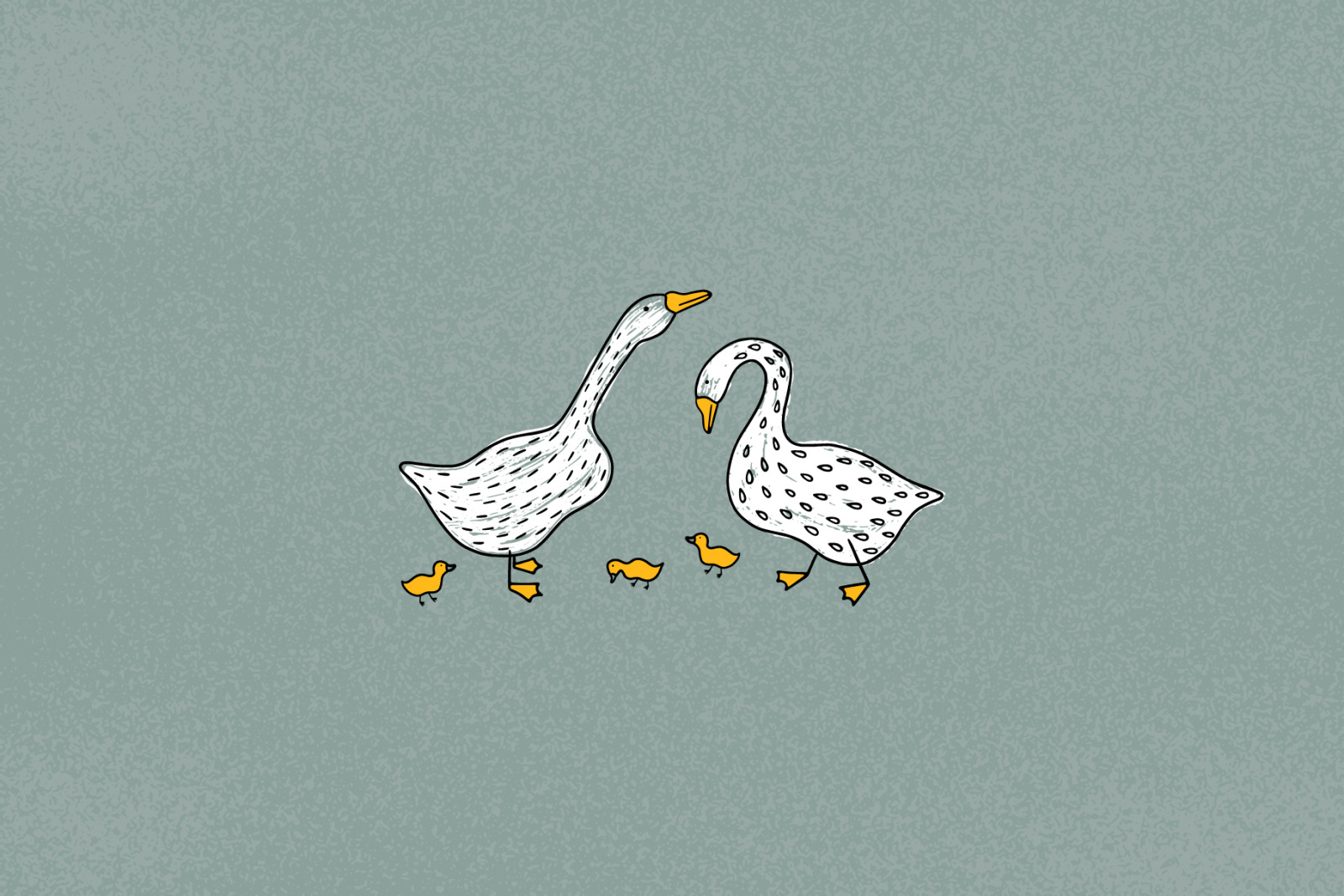 Funny Geese Funny Geese