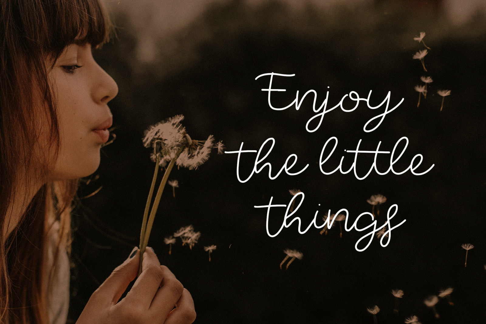 Sparkle Stylish Handwritten Font Sparkle Stylish Handwritten Font