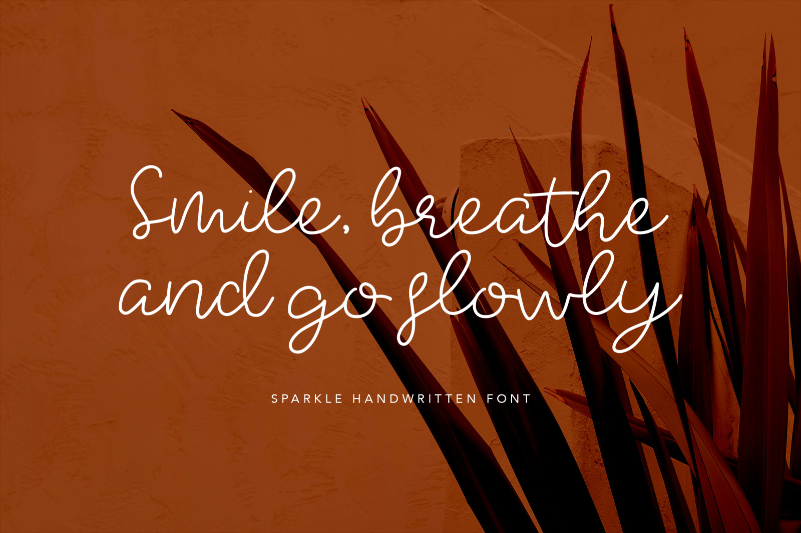 Sparkle Stylish Handwritten Font Sparkle Stylish Handwritten Font