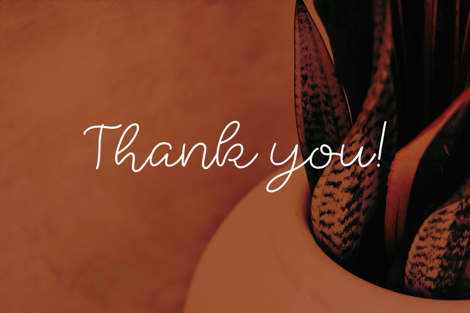 Sparkle Stylish Handwritten Font Sparkle Stylish Handwritten Font