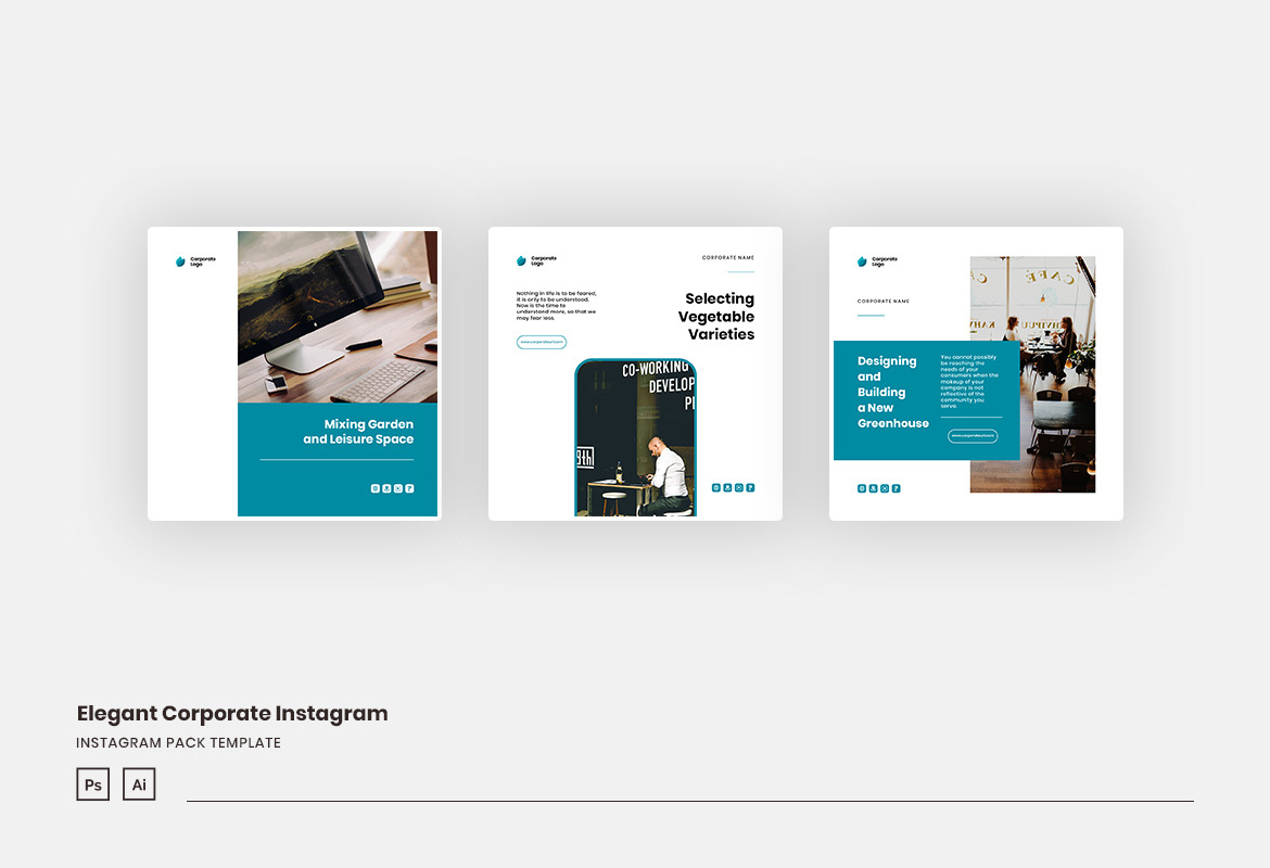 Elegant Corporate Instagram Template