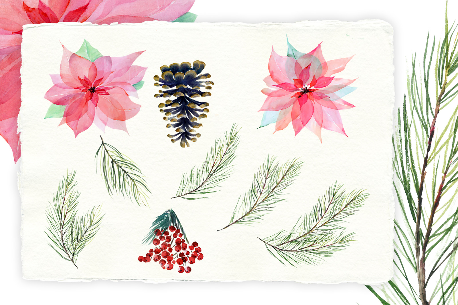 Watercolor christmas poinsettia clipart Winter watercolor graphics floral png Christmas wreath