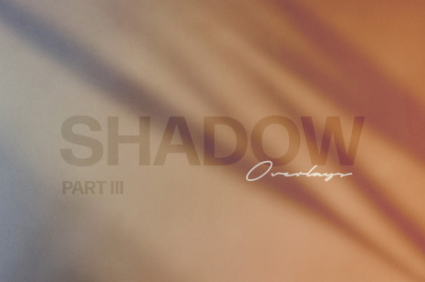 Shadow Photo Overlays - Indoor plant