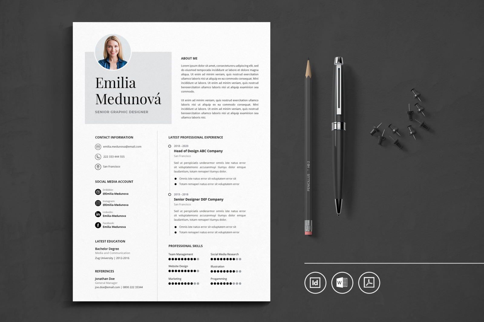 Big Bundle Professional CV Resume Indesign Template