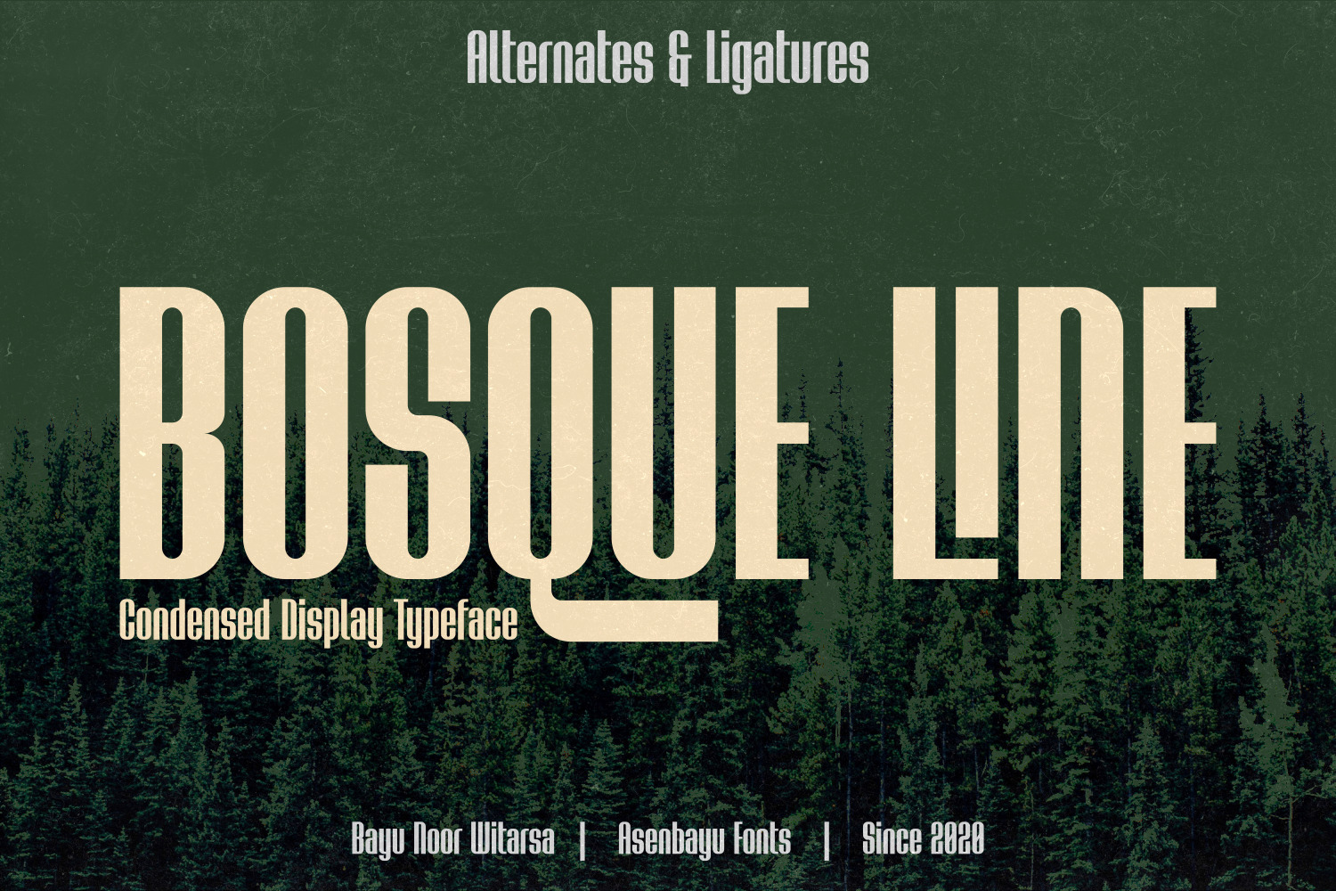 Bosque Line Typeface