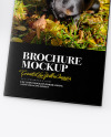 Three Brochures Mockup