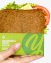 Sandwich Pack in a Hand Mockup