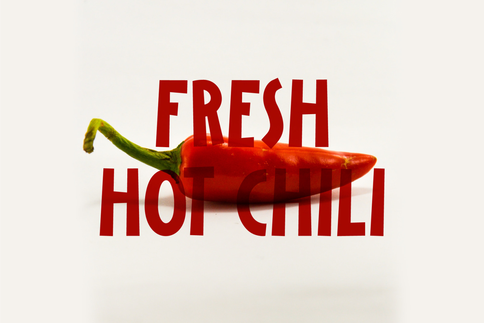 Worthbites | Display Font Worthbites | Display Font