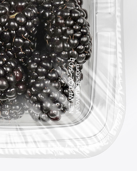 Clear Plastic Tray with Blackberries Mockup