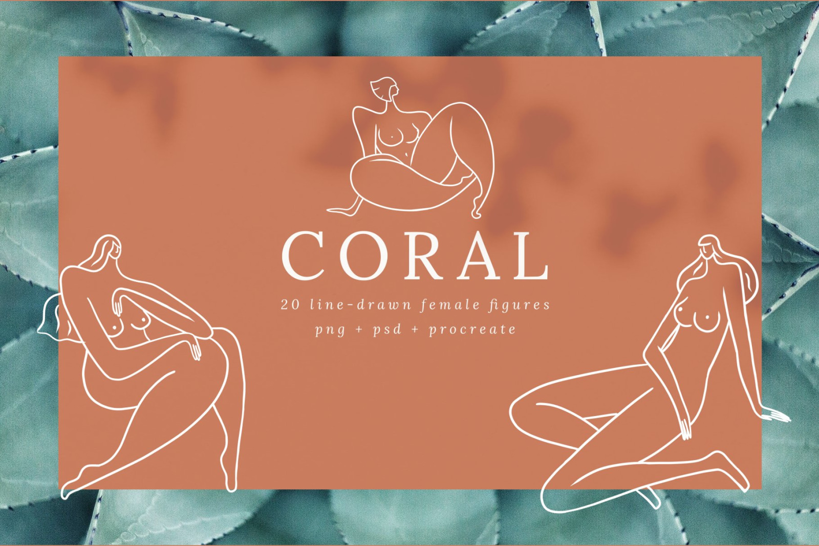 Coral Women Line Drawings Coral Women Line Drawings