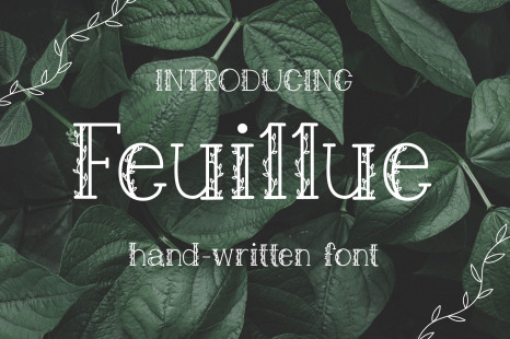 Feuillue | serif font - Decorative serif font
