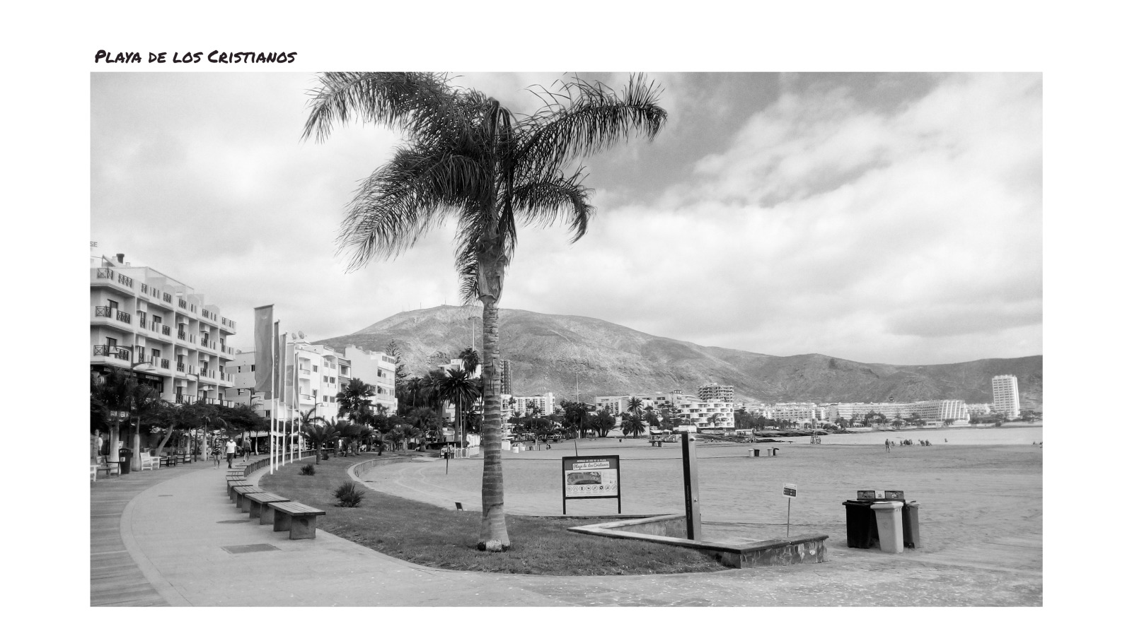 Black and White Tenerife Landmarks