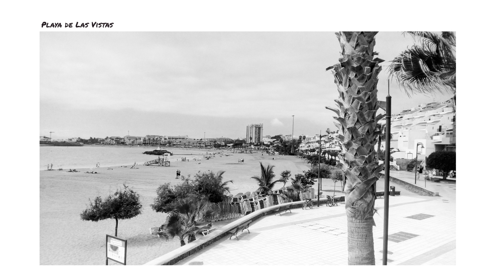 Black and White Tenerife Landmarks