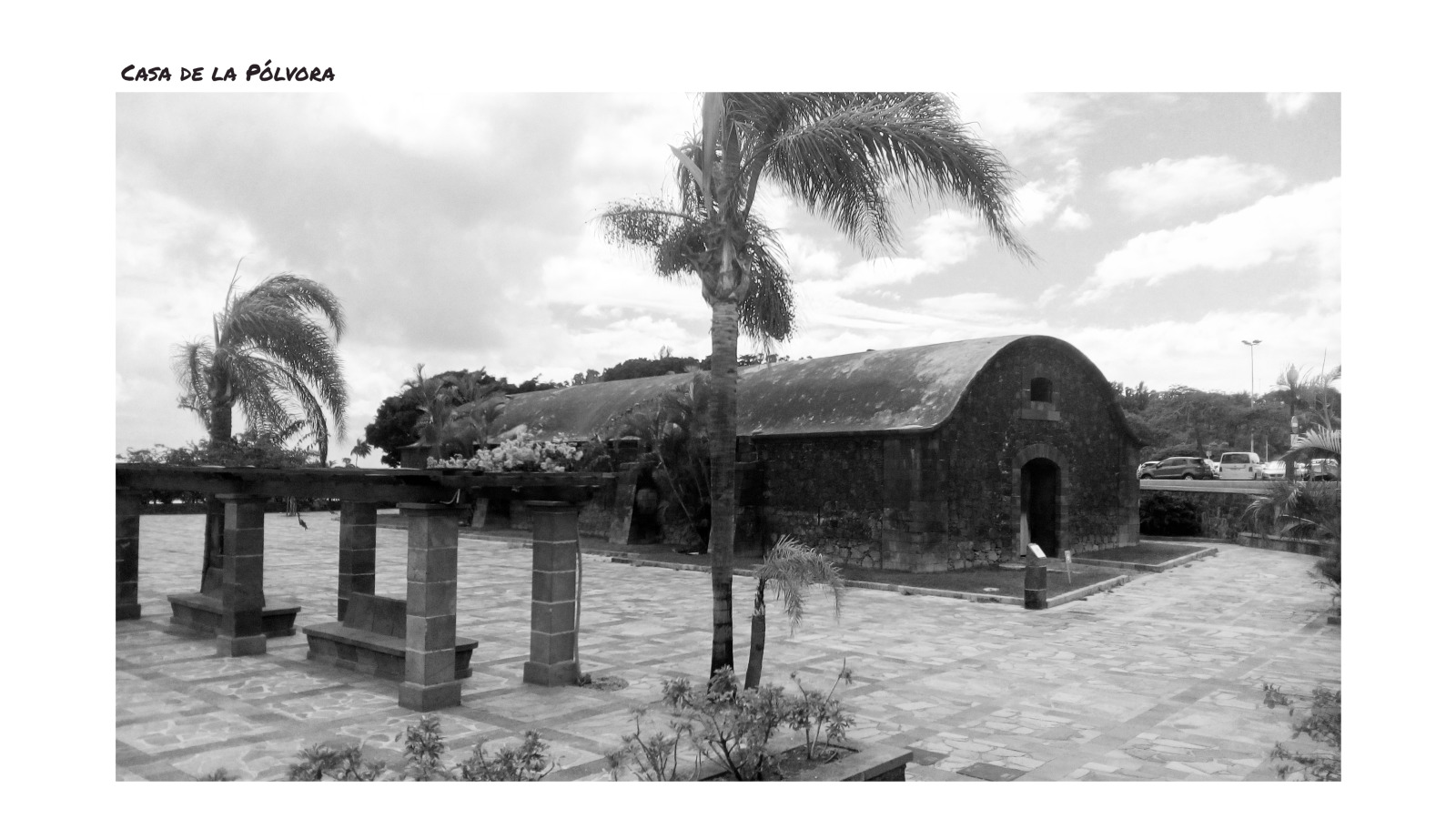 Black and White Tenerife Landmarks