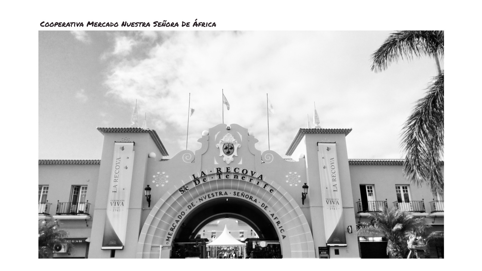 Black and White Tenerife Landmarks