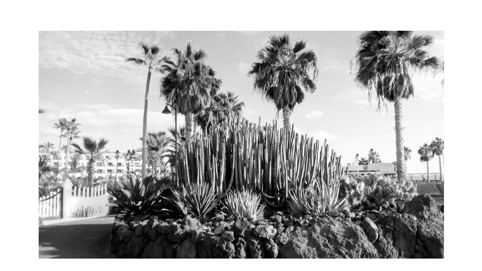 Black and White Tenerife Landmarks