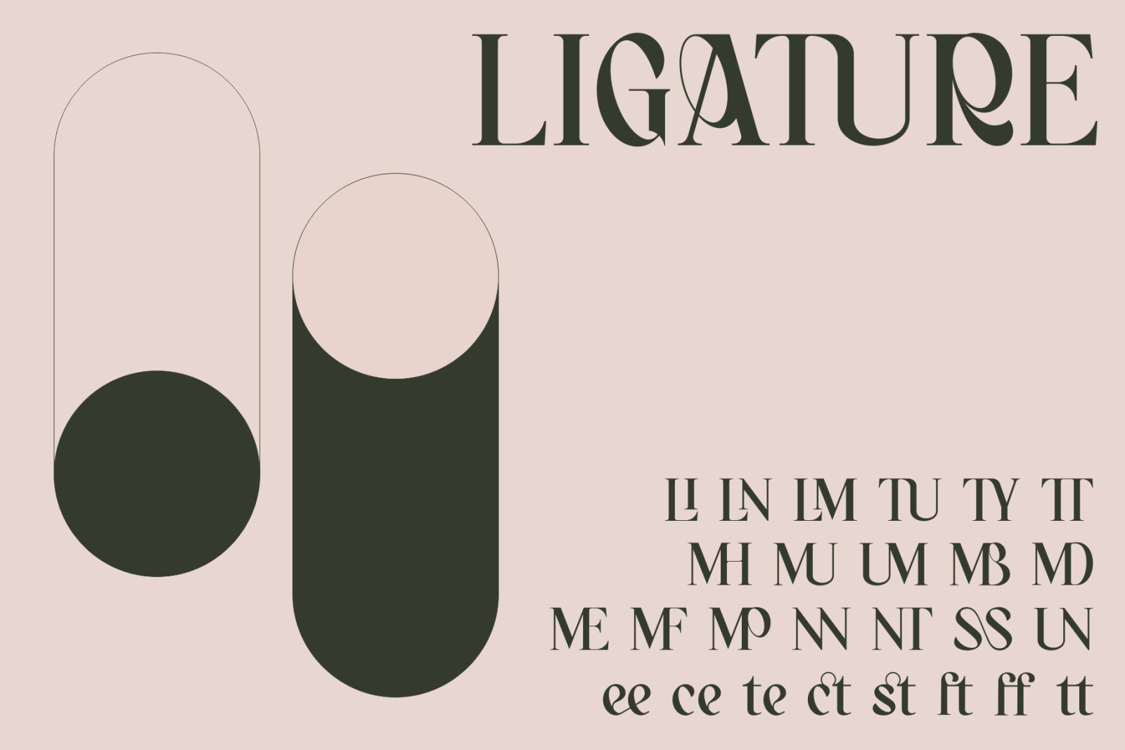Bagerich Elegant Font Bagerich Elegant Font