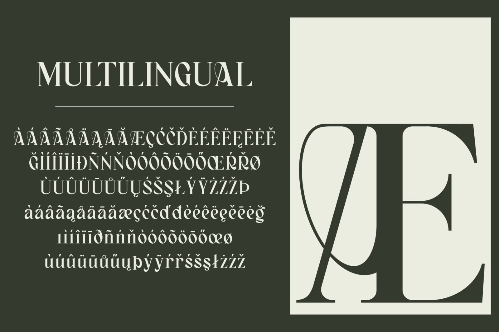 Bagerich Elegant Font Bagerich Elegant Font
