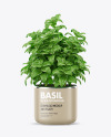 Basil in the Pot Mockup