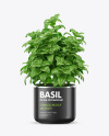 Basil in the Pot Mockup