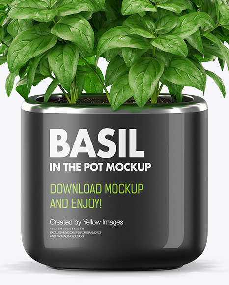 Basil in the Pot Mockup