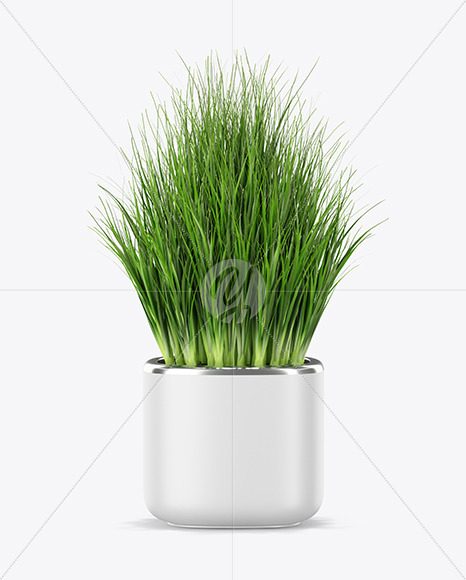 Сhives in The Pot Mockup