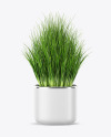 Сhives in The Pot Mockup