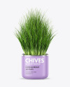 Сhives in The Pot Mockup