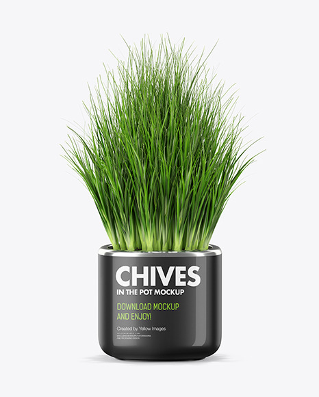Сhives in The Pot Mockup