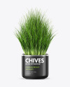 Сhives in The Pot Mockup